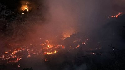 За добу на Львівщині зафіксовано 19 пожеж сухої трави