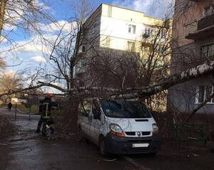 Поламані дерева, понищені покрівлі: рятувальники ліквідували наслідки негоди на Львівщині (фото)