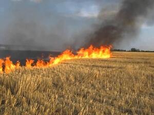 На Львівщині під час спалювання стерні загинув чоловік