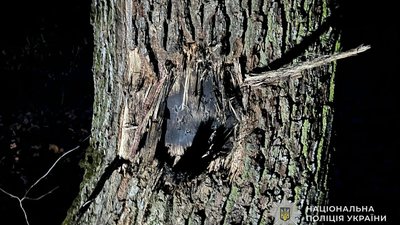 На Тернопільщині внаслідок детонації вибухонебезпечного предмету загинув чоловік