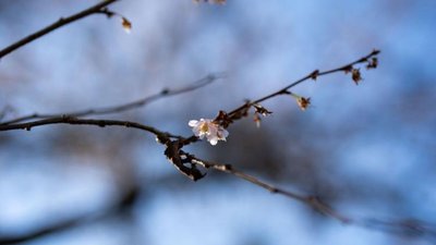 Якою буде погода у Львові та області завтра, 18 березня