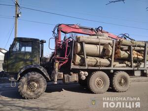 На Львівщині затримали «КамАЗ» із незаконно зрубаною деревиною (фото)