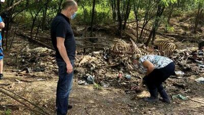 Поліція розслідує забруднення землі тваринними рештками на Львівщині