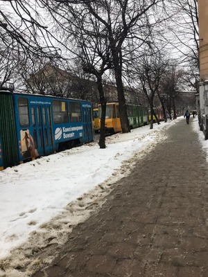 У місті Лева стоять трамваї (фото)