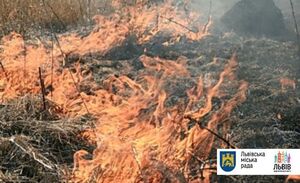 У Львові на вул. Роксоляни горів торф