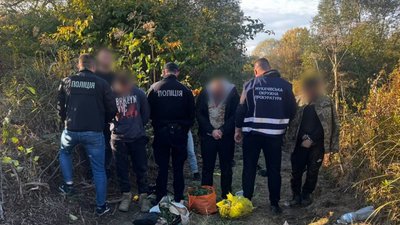 Троє «агрономів» на Закарпатті попалися на вирощуванні конопель