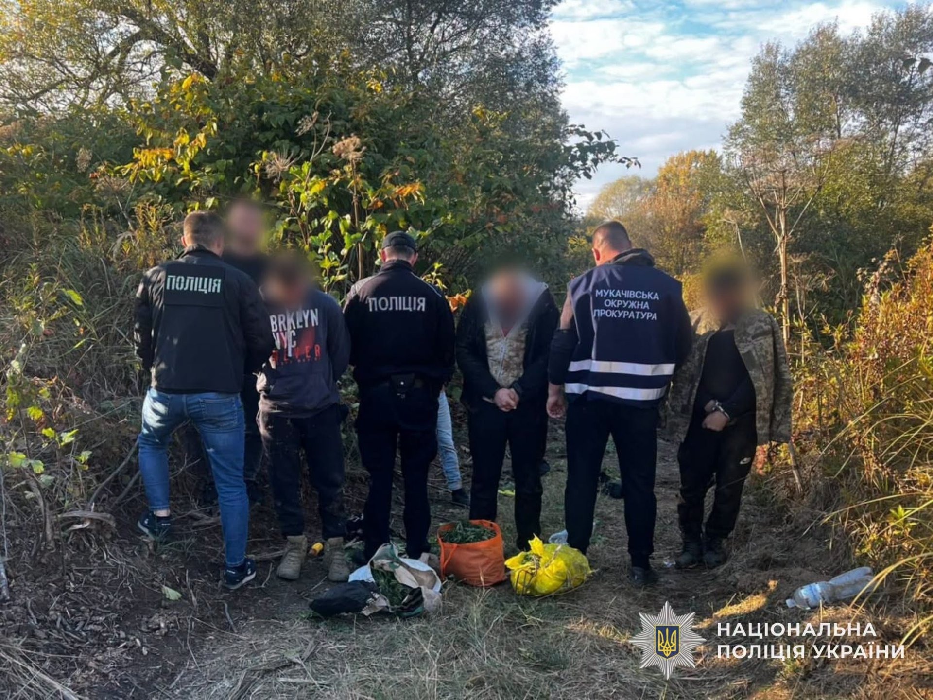 Троє «агрономів» на Закарпатті попалися на вирощуванні конопель