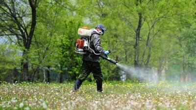 З понеділка у Львові розпочнеться акарицидна обробка парків