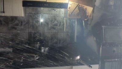 На Львівщині вогнеборці врятували з пожежі котів