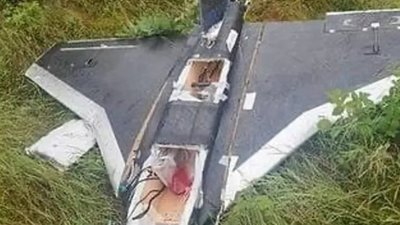 У Литві впав російський дрон "Гербера"