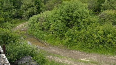 Кіберполіція та БЕБ викрили злочинну схему з розкраданням державних коштів, призначених на розвиток аграрного сектору (ФОТО)