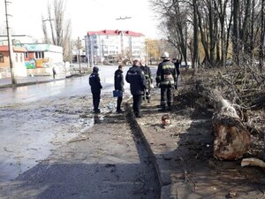 У Віннниці дерево впало на дитину, вона померла (фото)