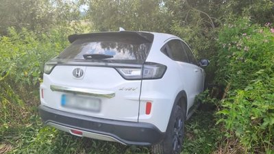 На Львівщині Honda злетіла в кювет
