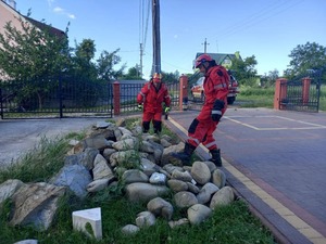 На Львівщині рятувальники відловили змію