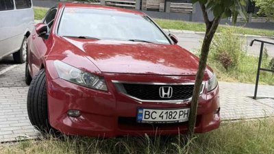 У Львові водій вʼїхав у дерево та побіг з битою за жінкою (ВІДЕО)