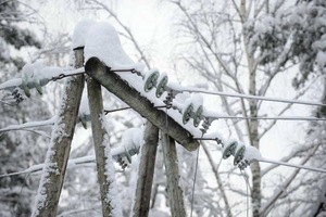 На Львівщині негода повністю знеструмила 37 населених пунктів