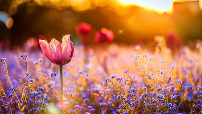 Якою буде погода у Львові та області завтра, 21 серпня