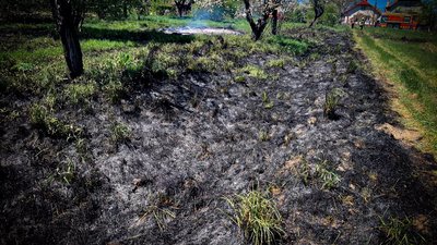У селі на Львівщині під час пожежі сухостою постраждала жінка (ФОТО)
