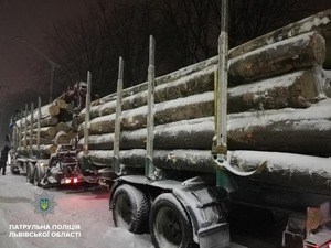 Кругляк є, документів нема: у Львові виявили дві вантажівки вщент наповнені буком (фото)