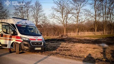 На Львівщині під час пожежі сухостою загинув чоловік