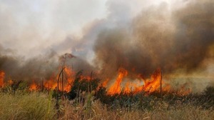 На Сході розшукують двох воїнів, які зникли під час гасіння пожеж