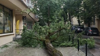 У Львові вирує негода: перші наслідки (ФОТО, ВІДЕО)