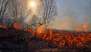 У Львівській області рятувальники ліквідували масові пожежі сухої трави (фото)