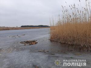 Нещасний випадок на Харківщині: підліток втопився, рятуючи собаку