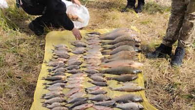 Наловили риби на понад 390 тис.грн: на Хмельниччині спіймали браконьєрів
