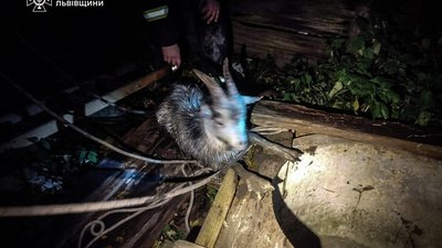 Рятувальники Львівщини витягли бешкетне козеня з 7-метрового колодязя