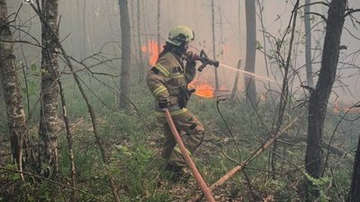 На Львівщині за добу вигоріло понад три гектари сухостою та лісу