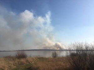 На Львівщині горить сміттєзвалище (фото, відео)