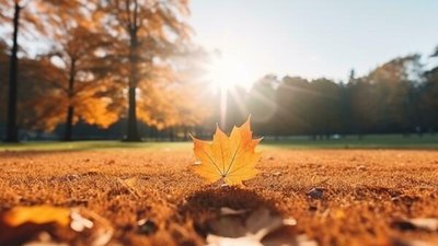 Якою буде погода у Львові та області завтра, 14 вересня