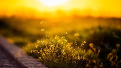 Якою буде погода у Львові та області завтра, 8 червня