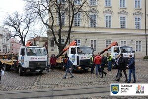 У Львові звільнено керівника відділу евакуації транспортних засобів ЛКП «Муніципальна Варта»