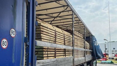 БЕБ на Львівщині ліквідувало канал контрабанди лісоматеріалів з дуба