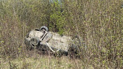 На Львівщині авто злетіло в кювет (ФОТО)