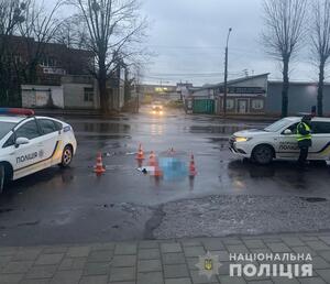 У Львові взяли під варту водія маршрутки, який збив і протягнув тіло монахині через пів міста (ФОТО, ВІДЕО)