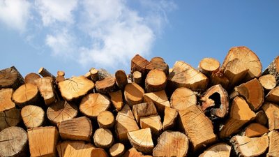 На Чернігівщині підполковника ЗСУ підозрюють у збитках для держави на понад 25 мільйонів гривень