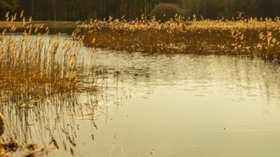 Трагедія на Тернопільщині: поліція з'ясовує причини загибелі людей на приватному ставку