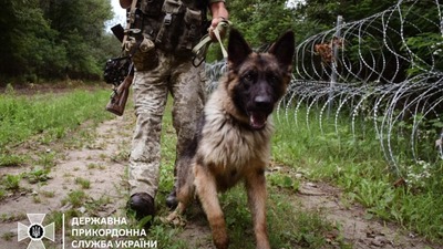 В Україні туристам заборонили підйом на гори Піп Іван, Мала Говерла і ще на десятки туристичних маршрутів (ДОКУМЕНТ)