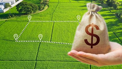 В Україні підскочили ціни на землю: Львівщина серед лідерів