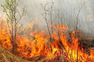 На Львівщині, під час пожежі сухої трави, важко постраждав чоловік