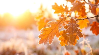 Якою буде погода у Львові та області завтра, 13 грудня