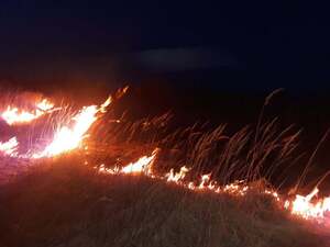 Упродовж доби на Львівщині сталося 19 пожеж сухої трави (фото)