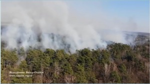 На Львівщині зняли шокуюче відео масштабів лісової пожежі (відео)