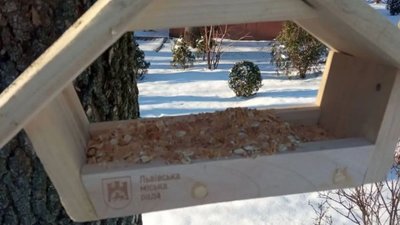 У львівських парках встановили годівнички для птахів