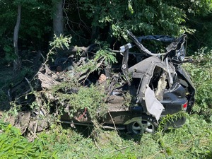 Врізався у дерево: у поліції розповіли деталі смертельної ДТП на Львівщині (ФОТО)