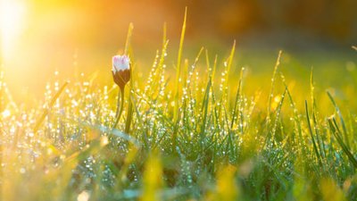 Якою буде погода у Львові та області завтра, 30 липня