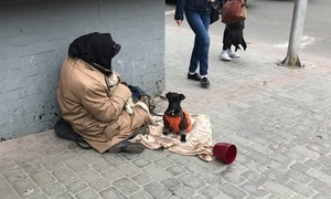 Львівські жебраки знущаються над собаками, аби отримати більший "заробіток" (відео)